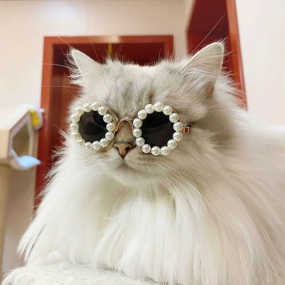 Cat Sunglasses Pearl Glaesses Dog Headwear Products Photos Props Pet Supplies