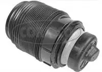 Store code: 49430430 interior air suspension horn