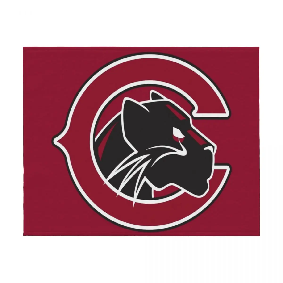 بطانية رمي The Chapman Panthers، أغطية سرير القيلولة أثناء السفر، بطانيات فضفاضة #2