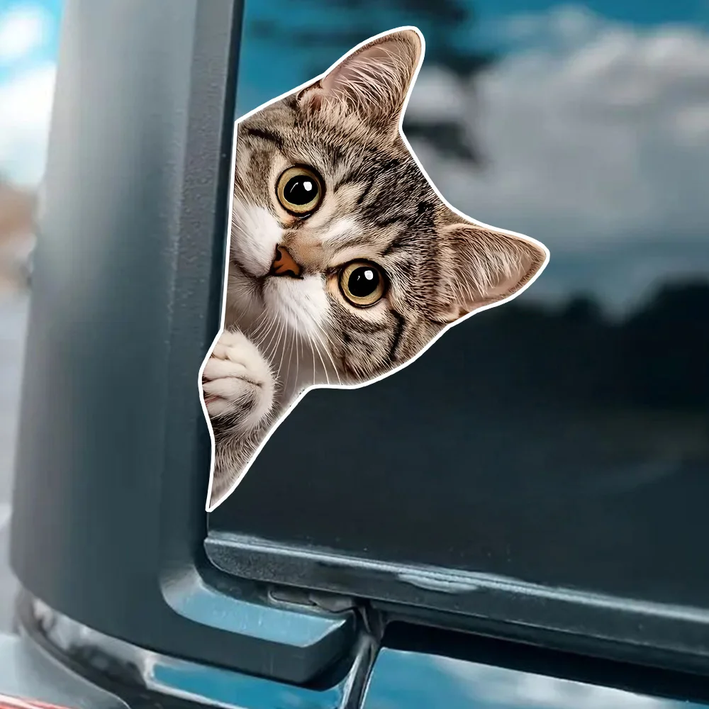 10x15cm Cat Peeking Sticker- Self-Adhesive Vinyl PVC Sticker, Suitable for Cars, Motorcycles, Laptops - Durable Outdoor