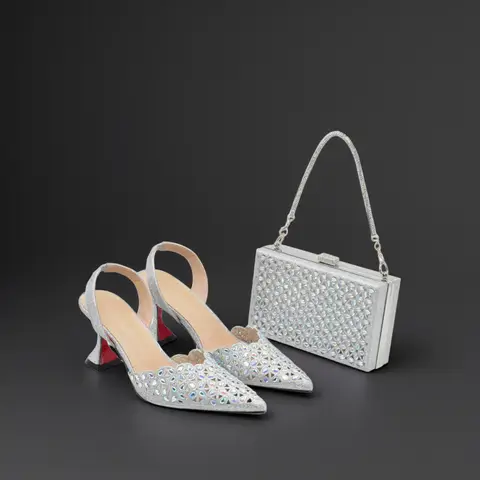 Bag Shoes Set Wedding and Silver Color Shoes and Bag for Party Wedding Luxery Women Shoe and Bag Set for Nigeria Party Italy Elegant Woman Heeled Pumps