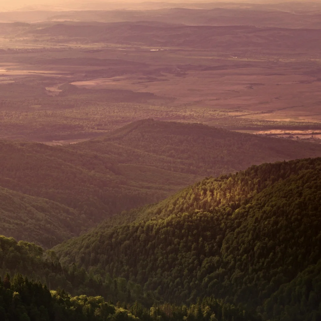 10.1 Tesla Style An… - image