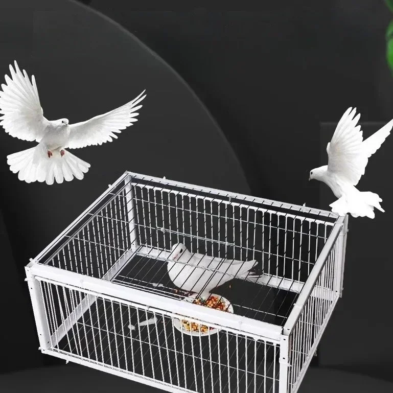 

Bird Cage Large Space Free Comfortable Encryption Reinforced Model with Skylight Durable and Strong Easy To Install