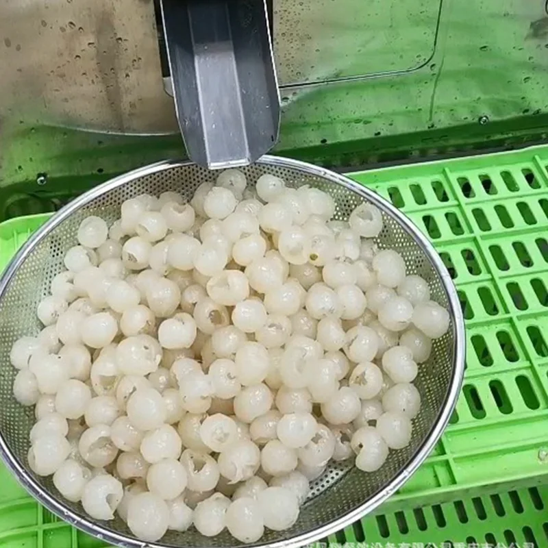 2026-Fresh Longan Fruit Nuclear Removing and Shell Stripping Machine Longan Core Peeling Peeler Shelled and Cored Machine