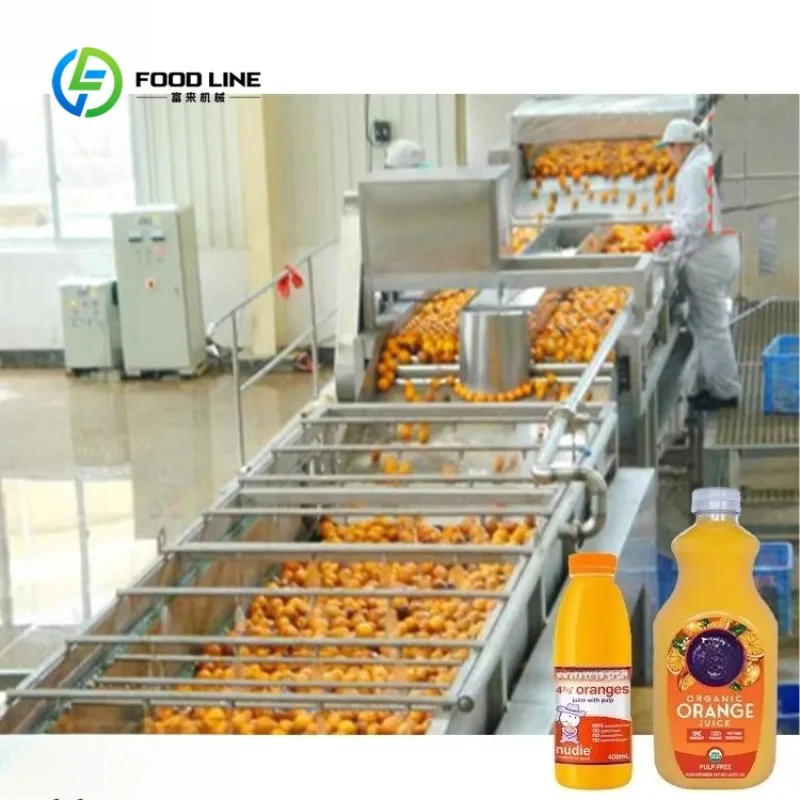 Customized Juice Production Line High Capacity Extraction Clarification Machine CE Approved for Industrial Food Processing Plant