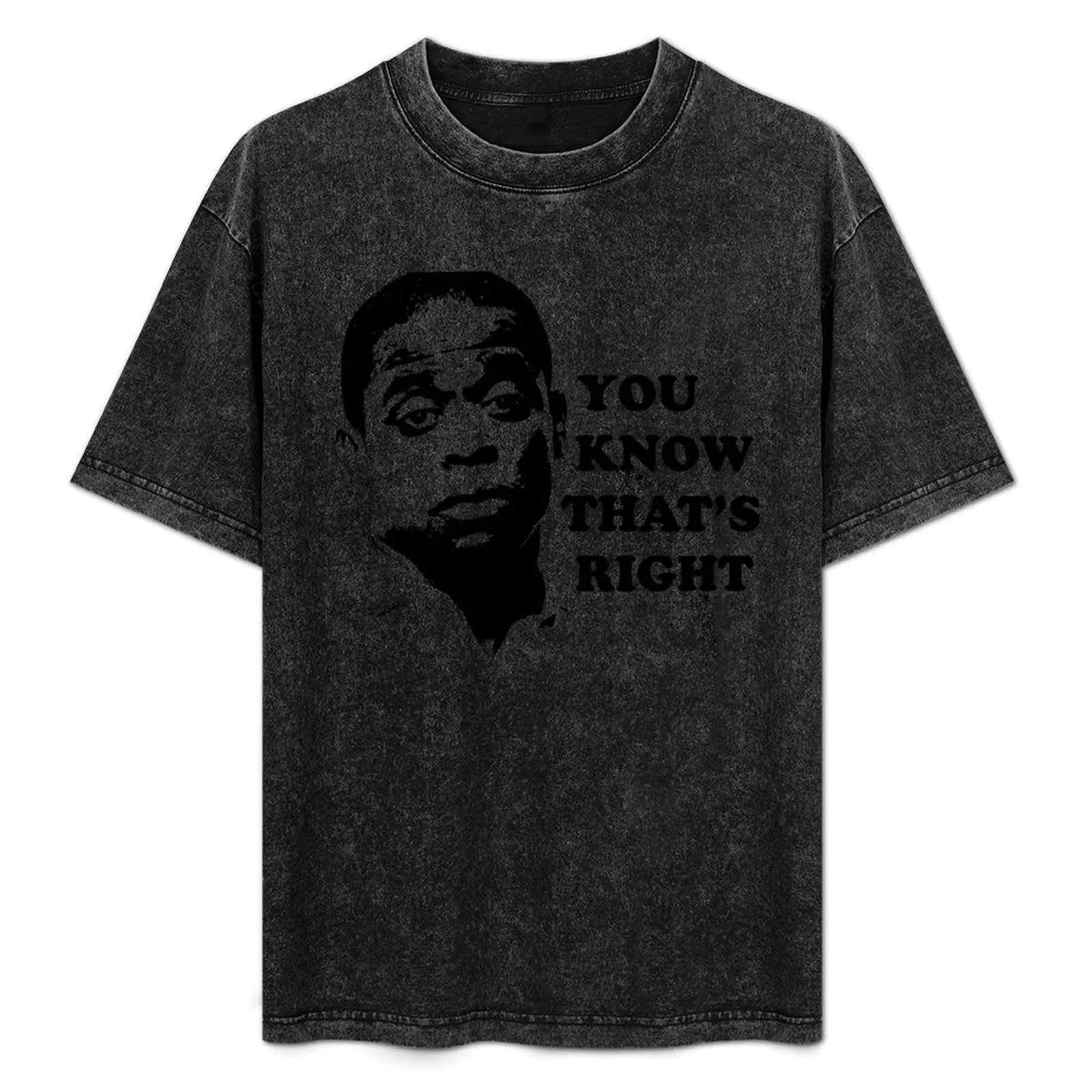 

You Know That's Right T-Shirt summer tops vintage graphic tee aesthetic clothes Men's clothing