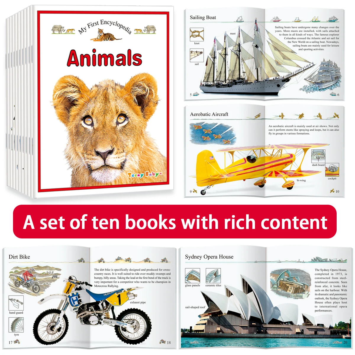 Children's 10-Book Set English Learning Science Books Comprehensive Knowledge Educational Reading Material for Kids