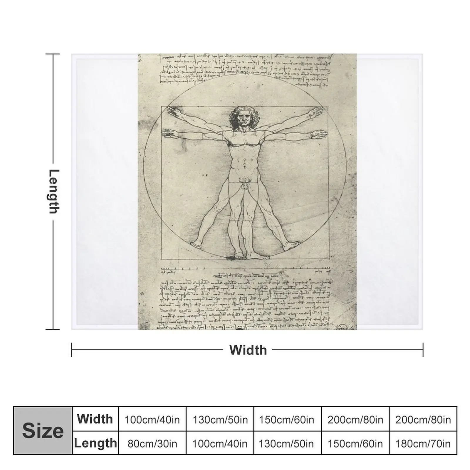 Vitruvian Man by Leonardo Da Vinci, Circa 1490 Throw Blanket For Sofa Thin anime Flannel Fabric Blankets