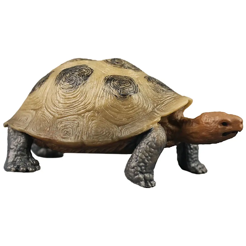 

Land Tortoise Plastic Realistic Colorful Simulation for Kids Education Ocean Theme Party Decoration Realistic Animal Toys