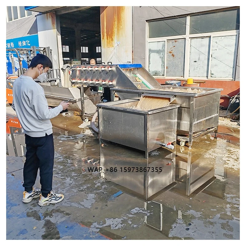 Cleaning Machine for Cleaning Garlic Vegetable and Fruit Cleaning Machine Customizable Ginger Cutting Washing Drying Machine