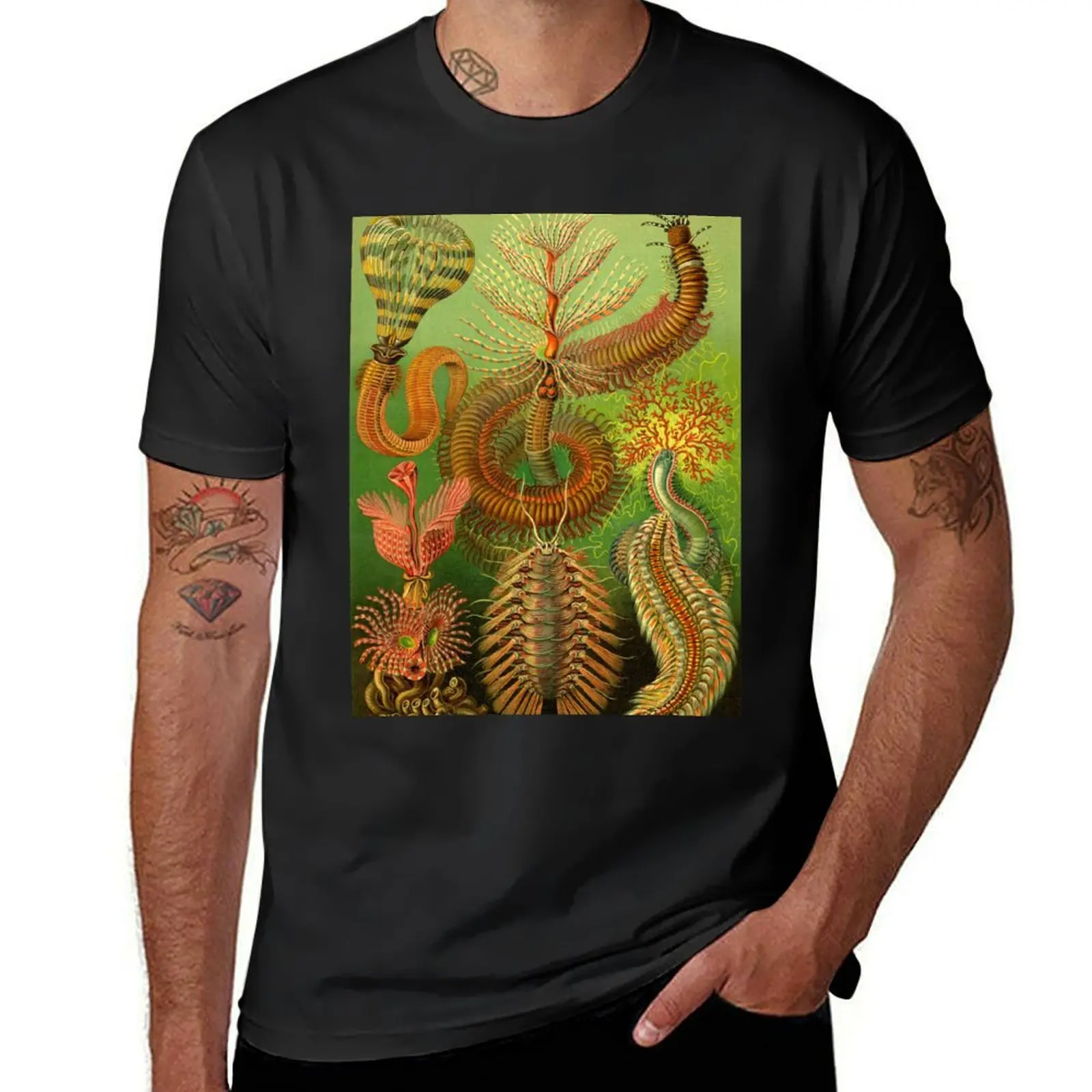 

Chaetopoda - Ernst Haeckel T-Shirt customizeds animal prinfor boys funnys Men's t-shirts