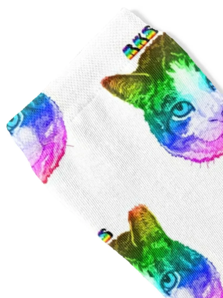 Rainbow Kitten Surprise Kitty Socks hiphop new in's Lots set Boy Child Socks Women's