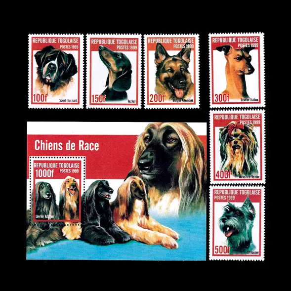 7 unids/set nuevo sello postal de Togo 1999 San Bernardo, sellos postales para perros de compañía Wolfhound alemanes MNH