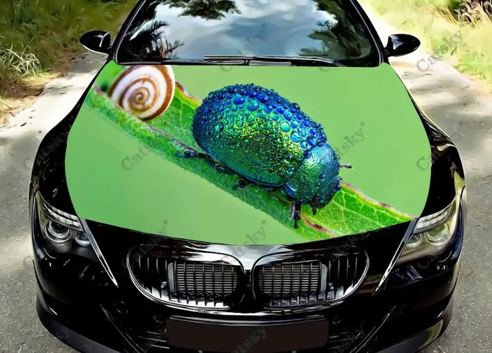 

Animal Beetle Car Hood Vinyl Stickers Wrap Vinyl Film Engine Cover Decals Sticker Universal Car Hood Protective Film