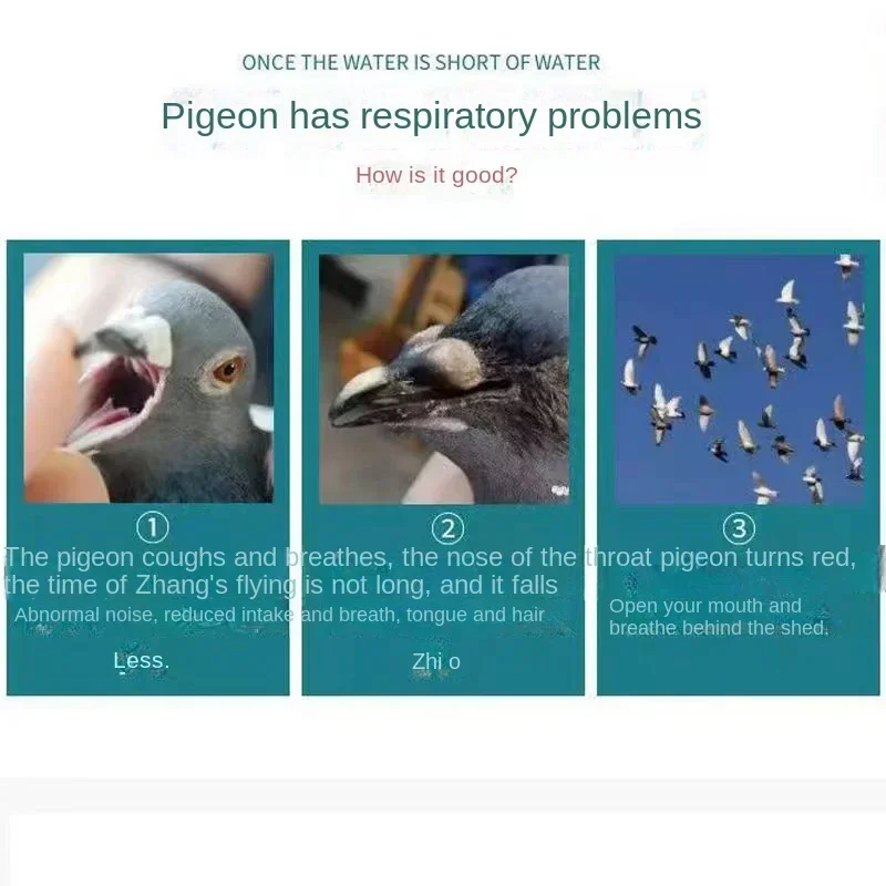 Pombos cabelo e hálito solução nutritiva dois em um 100ml tosse asma boca aberta respiração papagaio pássaro suplemento nutrição