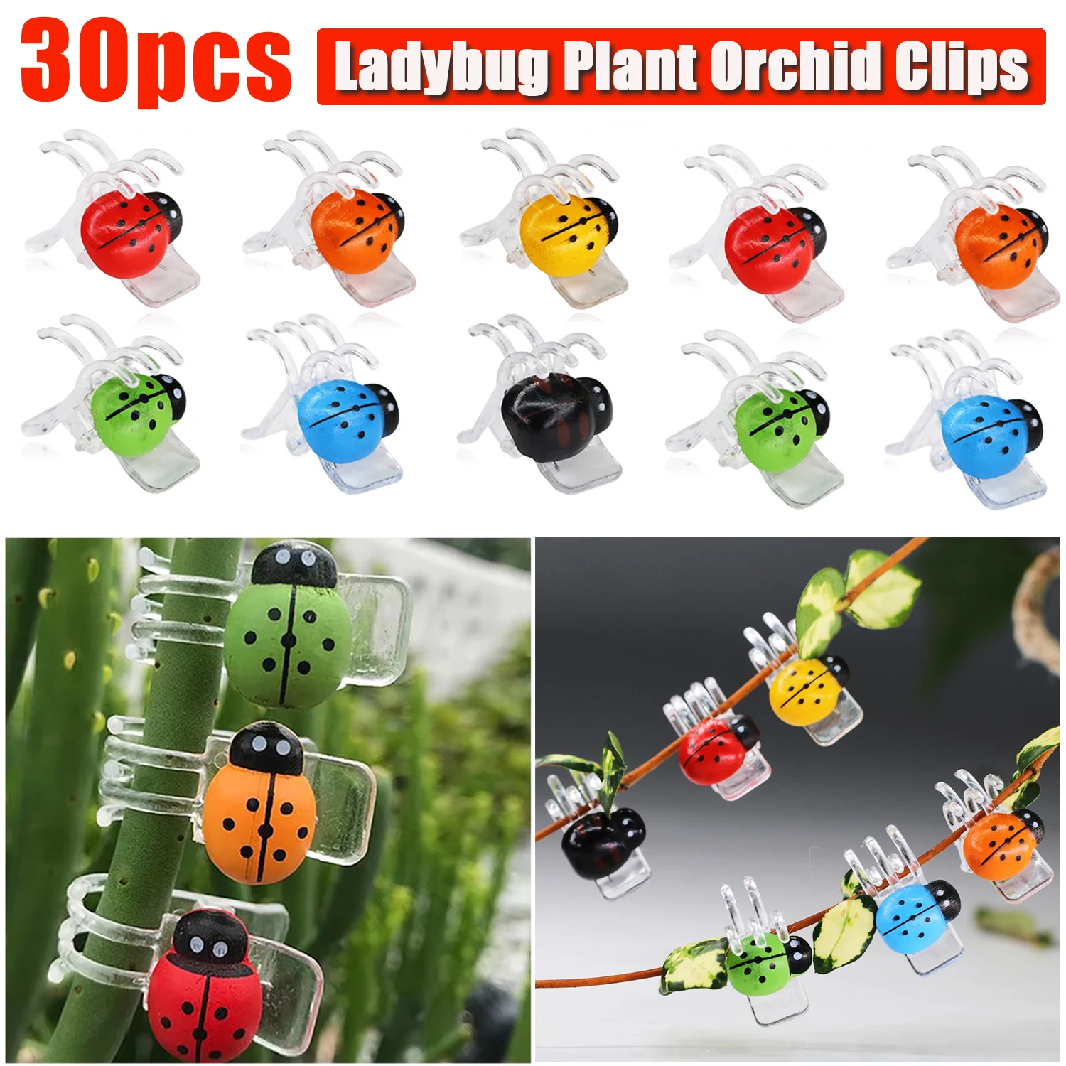 30Pcs Colorful Ladybug Orchid Clips Garden Plant Vine Support Clips Flower Orchid Vine Climbing Flowers Vine Fixer