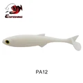 PA12