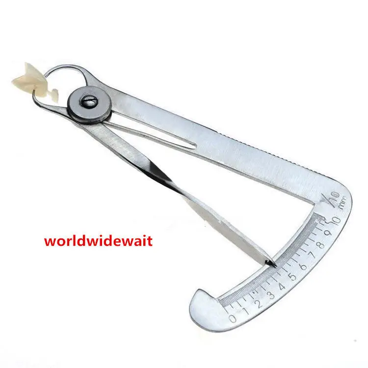 Strumenti chirurgici dentali con pinza Corona dentale in acciaio inossidabile da 1 pezzo