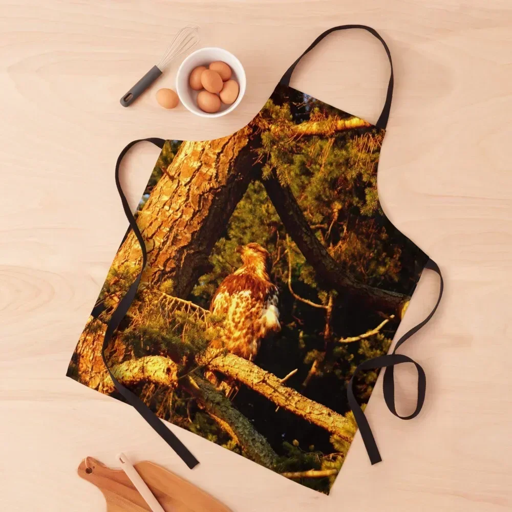 

Golden Eagle Apron Professional Barber Kitchen Women Dress Teacher Apron