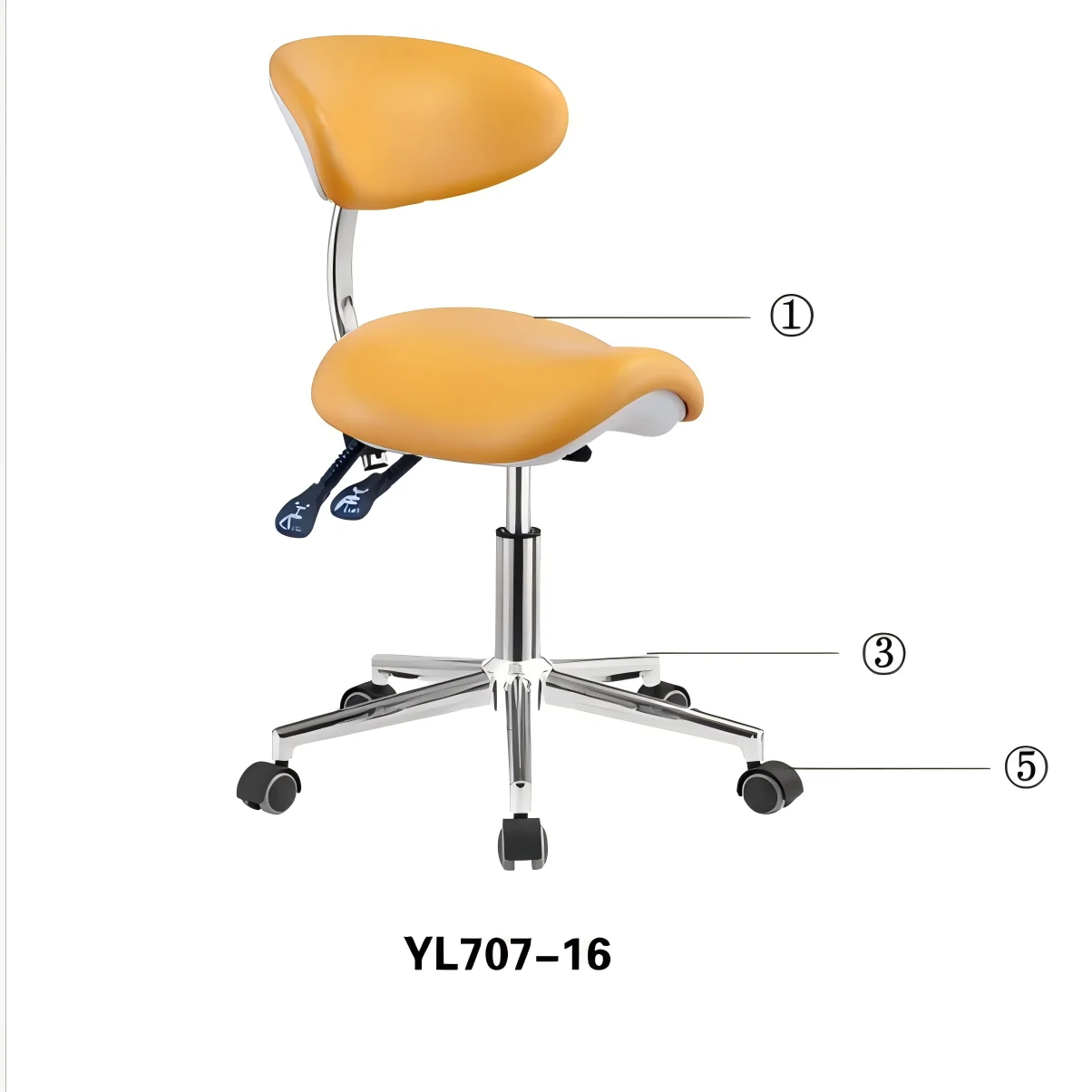 

Adjustable Backrest Dental Chair for Doctor Nurse Assistant Beauty Dentistry B-Ultrasound Office Swivel Roller Base