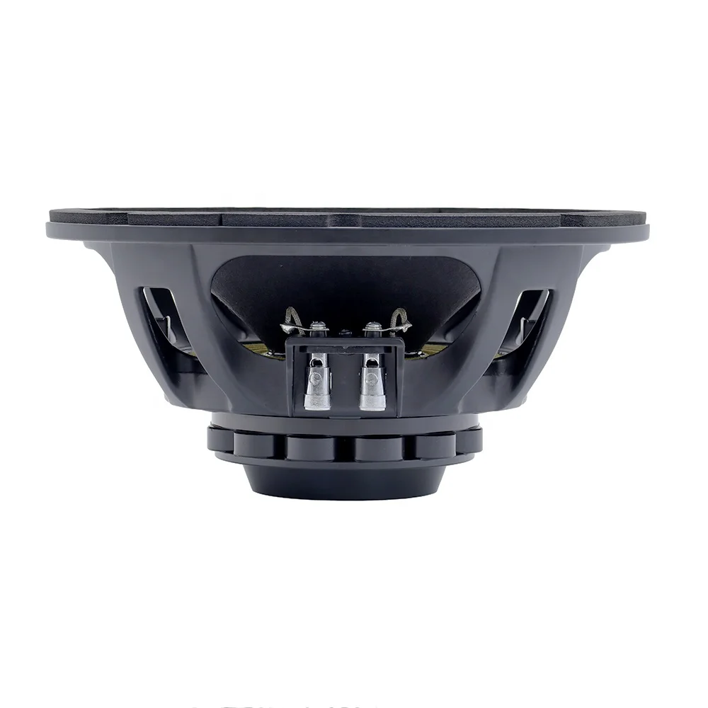 T-10NMB420 woofer de neodímio de 10 polegadas 1000W 16Ohm Line Array Alto-falantes Midbass de 10 polegadas