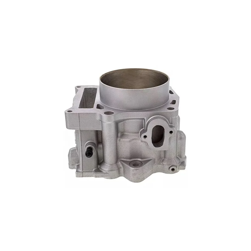 Cylinder Block for Yamaha Raptor 660R Grizzly 660 Rhino 660