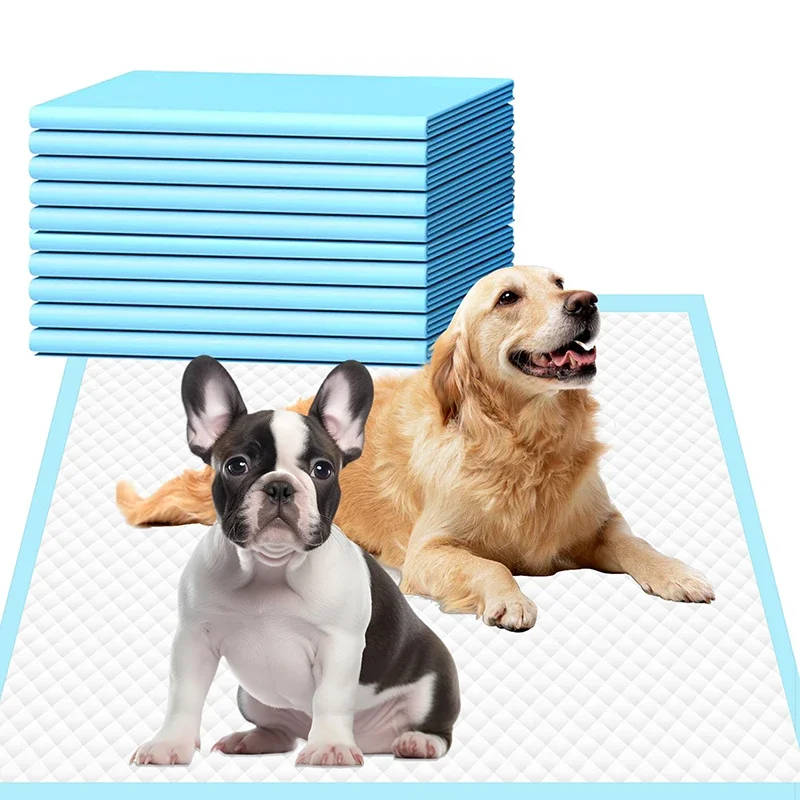 #66 Latest Dog Diapers Offers