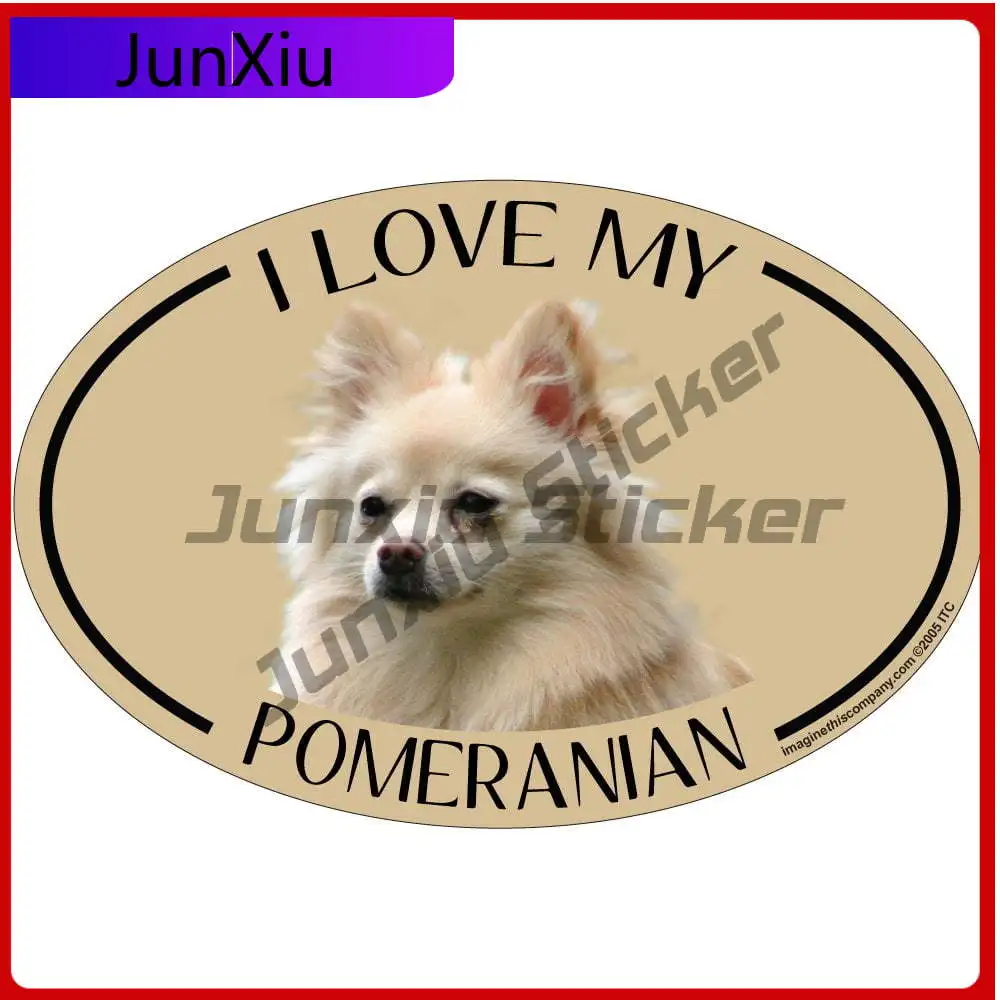 

Imagine This Oval , Funny Car Laptop Window Bumper Waterproof Walls Decal Decoration Cute Retro Unique Retro Unique Funny