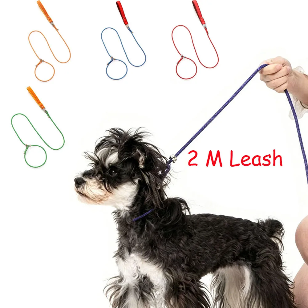 

1PCS Dog Slip P Chain Training Leash, Anti Pull Anti Choke Pet Walking Rope, Duty Climbing Rope with Double Buckle,2M Dog Lead
