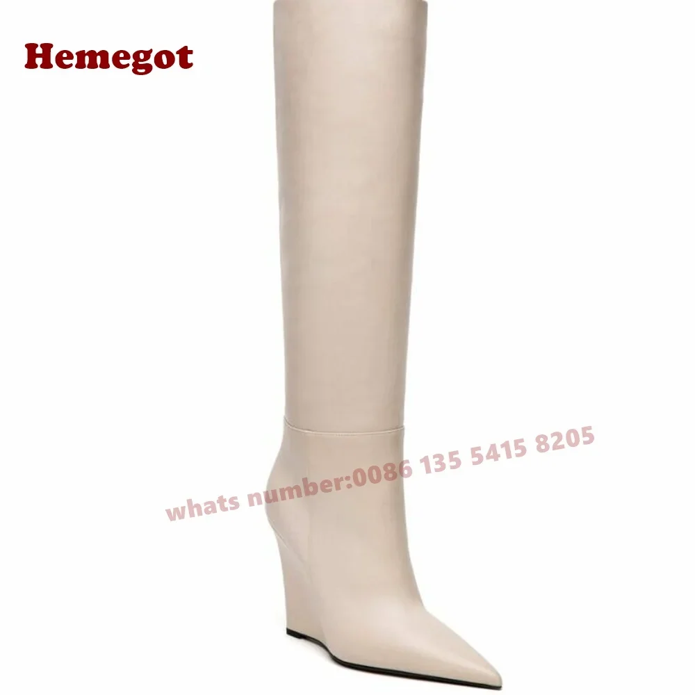 Brown Suede Wedges Knee High Boots 2025 New Pointy Toe High Heels Slip On Women\'s Long Boots Solid Casual Warm Shoes Luxury Sexy