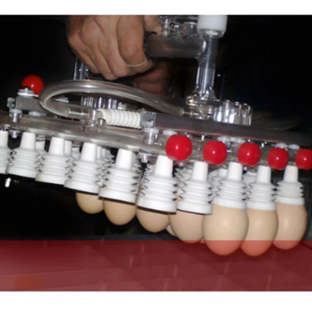 V30A Vacuum Egg Lifter Vacuum Egg Handler 30 Eggs Suction Lifter Poultry Egg Transfer Suction Device for Chicken Eggs