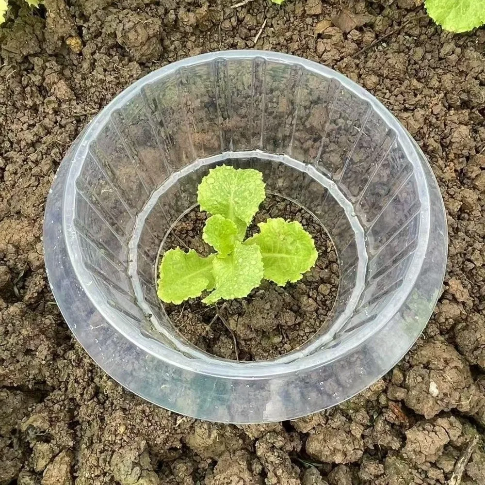 10PCS Plastic Vegetable Slug Collars Thickened Insect-Proof Slug Snail Protection Guard Bite Protection Barrier Round