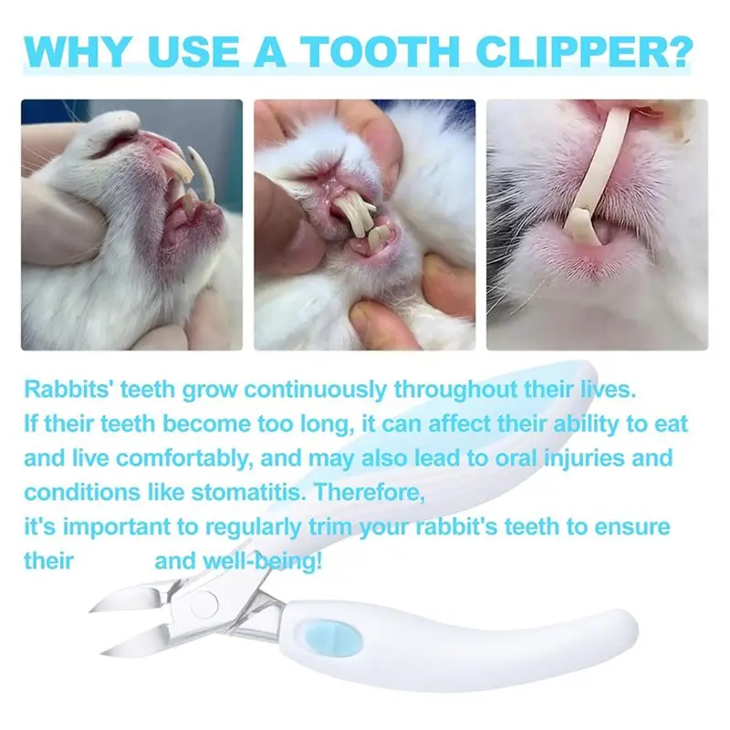 Premium-Teeth Clipper Cutter Stainless Steel Bunny Tooth Nipper Pet For Rabbits Squirrels Small Animal Compatible