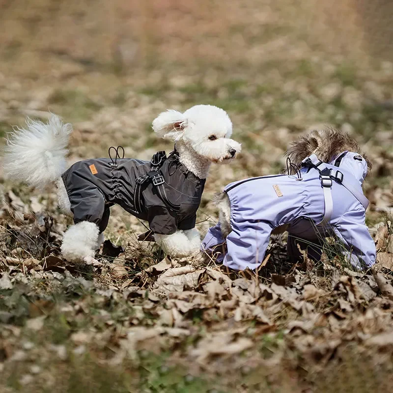Hunde-Regenmantel mit Geschirr, wasserdichte Jacke für kleine Hunde, verstellbarer, reflektierender Hunde-Regenoverall, vierbeiniger Regenmantel für Haustiere. – Detail 3