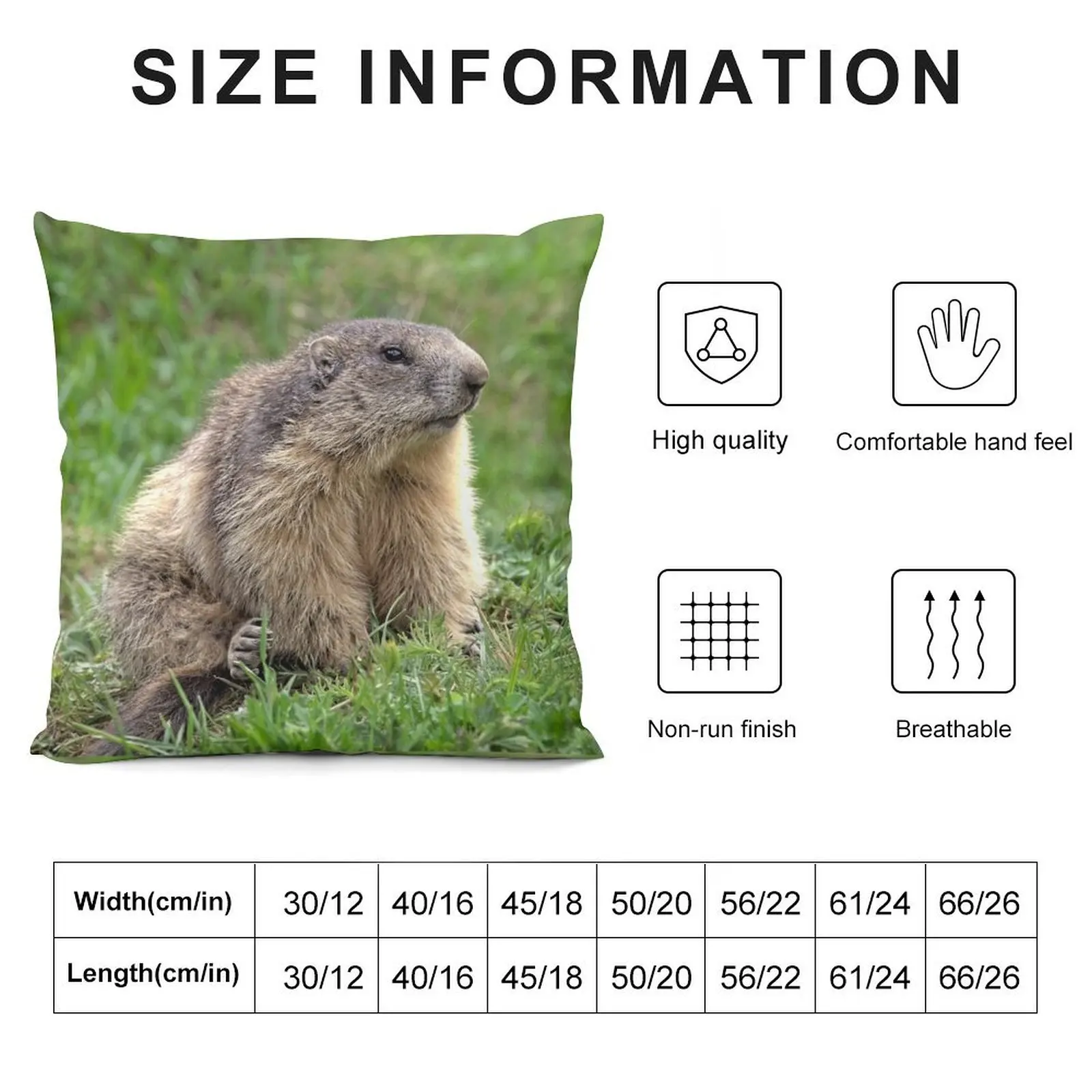 r5/ Finition 2024 : Marmotte de 3-4 face - Photo de André H?te Throw Pillow Couch Pillows pillow