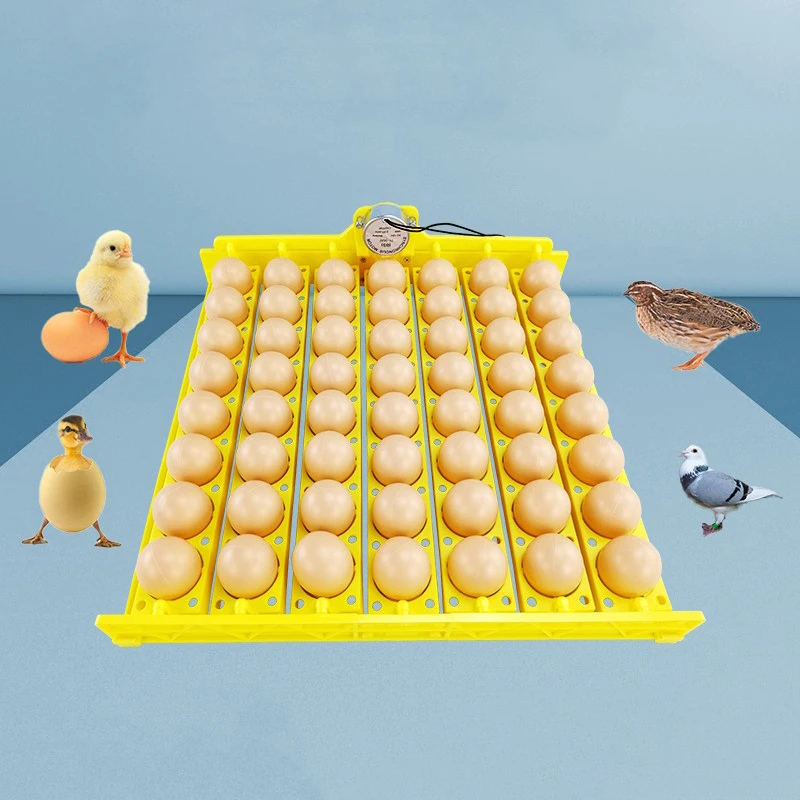 

8/22/36 Holes Automatic Incubator For Duck Poultry Goose Birds Replacement Parts Egg Tray Chicken Egg Incubator Holder