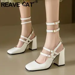 REAVE CAT 2024 sandali donna 32 33 pelle verniciata tacchi alti scarpe cinturino punta Multi-fibbia Janes scarpe 45 46