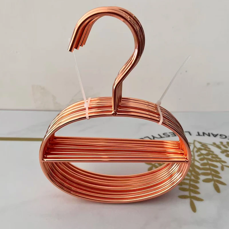 

10 PCS/LOT Nordic Metal Elliptical Double Layer Clothes Hanger Large Line Towel Scarf Hanger Rose Gold /Gold 2 Colors