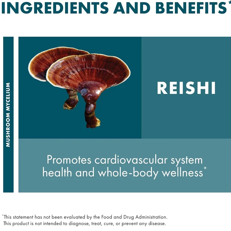 Ganoderma Capsules Support General Health and Vitality, Mushroom Supplement Tasteless 60 Capsules