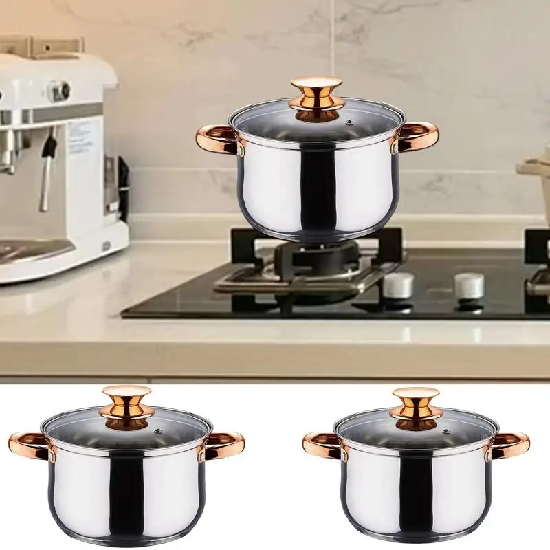 Cooking Pots with Lids Nonstick Multipurpose Cooking Pots Safe Cook Pot Cookware Stainless Steel Stock Pot for Dessert Broth