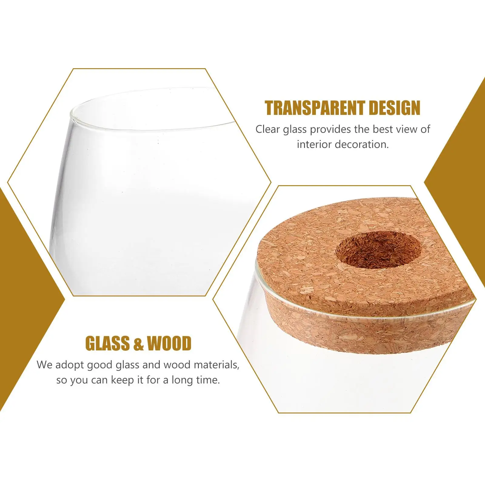 زجاجة نباتات مائية زجاج تررم حاوية المناظر الطبيعية الصغيرة Bryophyte زجاجة بيئية غطاء خشبي زهرية ديكور المنزل