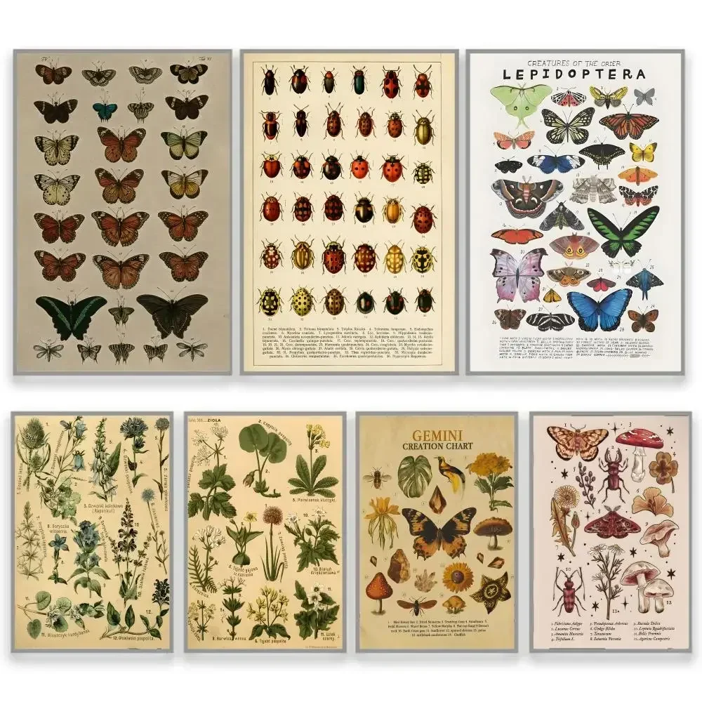Butterfly Insect Flower Mushroom  Botanical Educational Creative Room Accent Birthday Gift Boyfriend Student Housing Poster