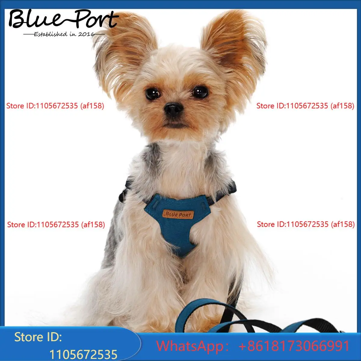 Blueport Dog Chest and Back Traction Rope Set Travel
