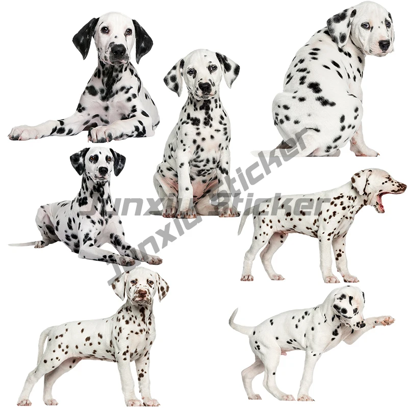 Cute Dalmatians Pet Dog Car Sticker Waterproof Vinyl Auto Wrap for Car Hood Window Laptop Home PVC Decals Decoration