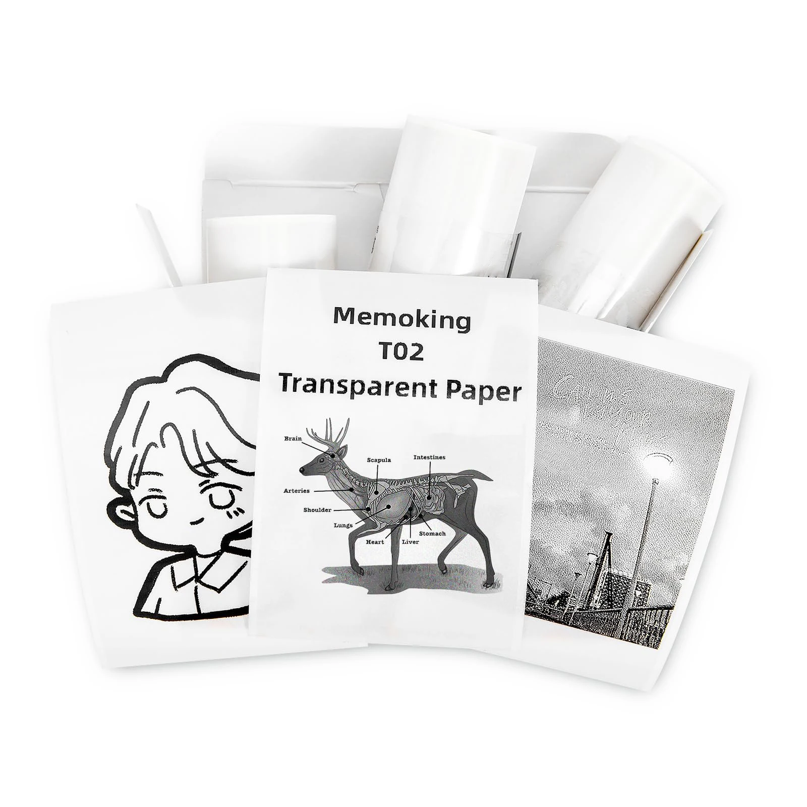 Mini Thermische Printer Papier T02/M02x/M02l Transparant Thermisch Papier Plakkerig Voor Tijdschrift Fototeksten Studie Notities En Meer 3 Rollen