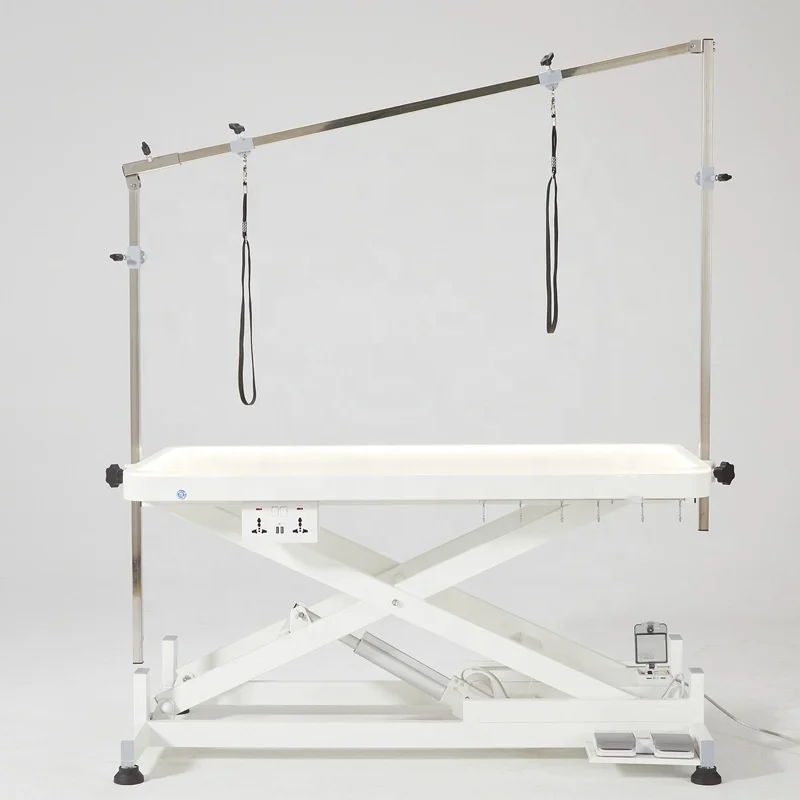 High Quality LED Electric Lift Pet Grooming Table with Illuminated Suitable for Large Dogs for Pet Grooming Salon
