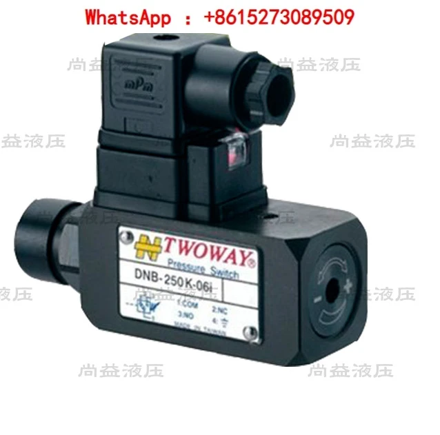 Taiken pressure relay DNB-250K-06I DNB-150K-22B 040K 070K