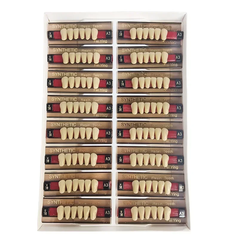 16/12 Sätze/Box Dental Anterior Posterior Polymer Prothese Wirtschaftlicher Zahn A2 A3 2 Schichten Zahnmedizinische Materialien