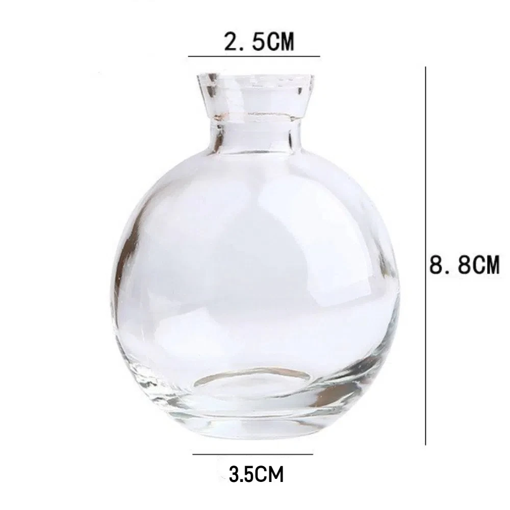 Simple Transparent Mini Flower Vase Home Decoration Glass Hydroponic Plant Bottle Desktop Small Flower Arrangement Pot Home