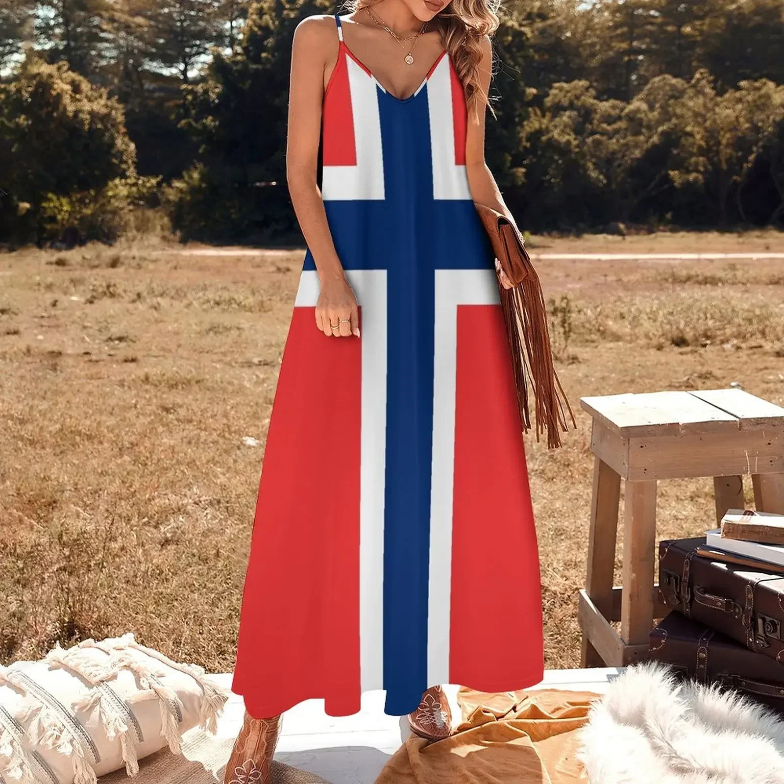 NORWEGIAN Flag Gifts, Masks, Stickers & Products Sleeveless Dress women evening dress Women's summer long dress